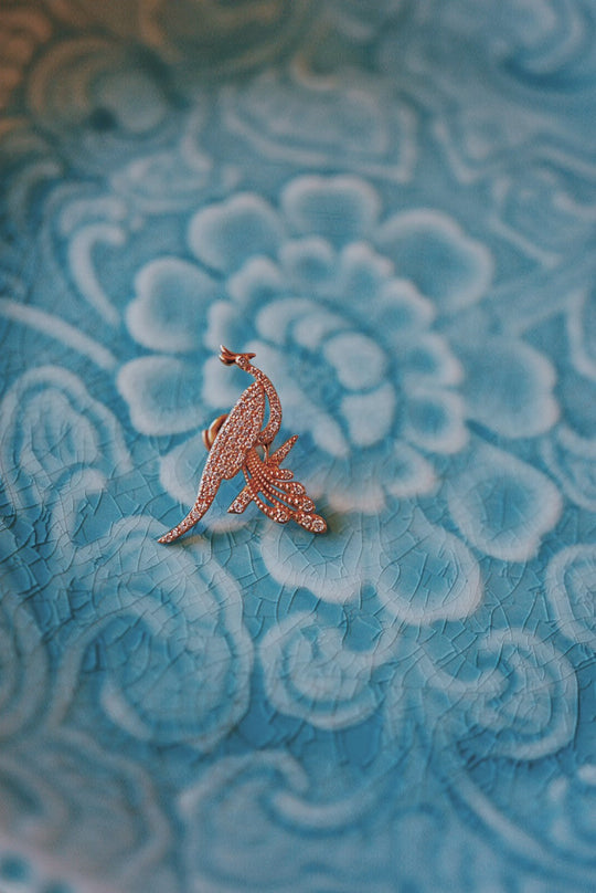 YON POPUP STORE-2025年のお知らせ