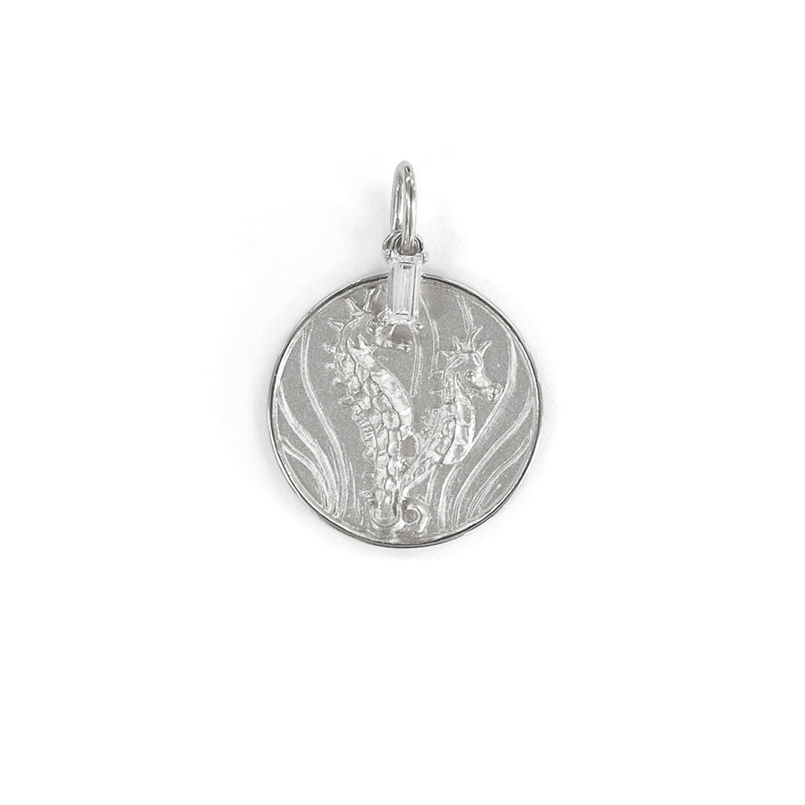 オーダー【K10WG】Nature Coin Seahorse