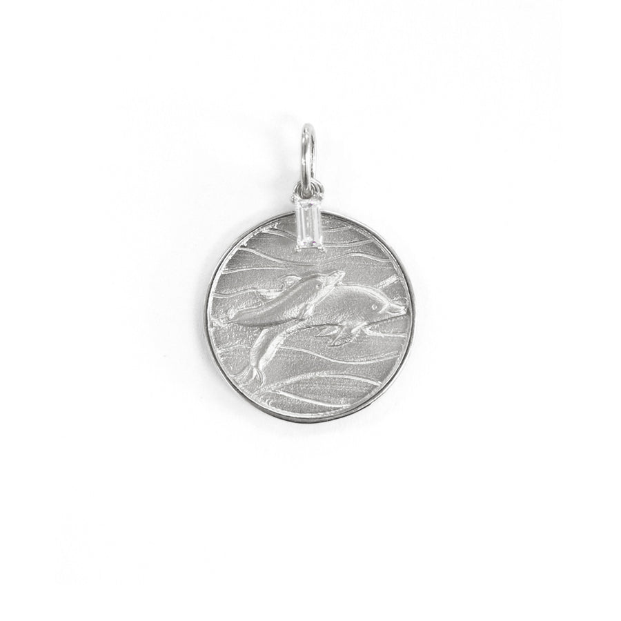 【K10WG】Nature Coin Dolphin