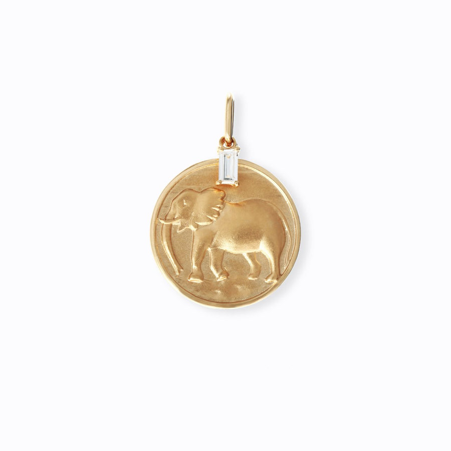 Nature Coin African Elephant